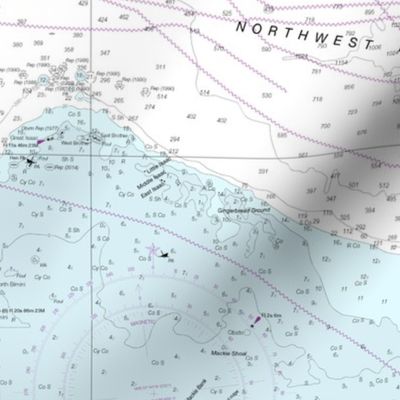 Grand Bahama and Great Abaco nautical map