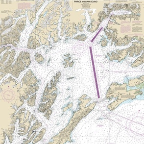 Prince William Sound nautical map