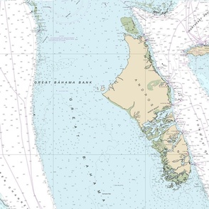 Andros Island, Bahamas nautical map