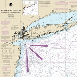 New York and Long Island nautical map