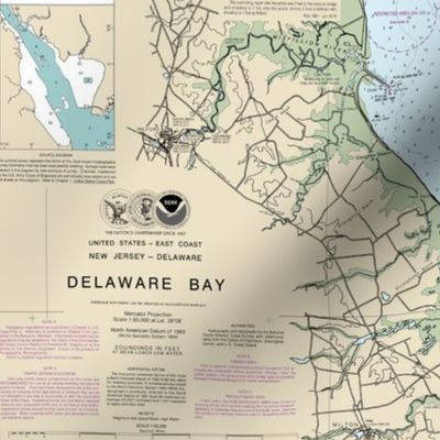 Delaware Bay nautical map