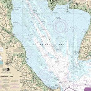 Delaware Bay nautical map