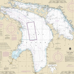 Lake Huron nautical map