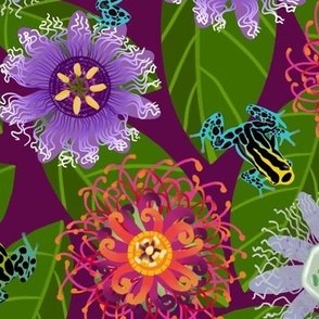 Pretty Poisons: Passionflowers and Frogs on Plum