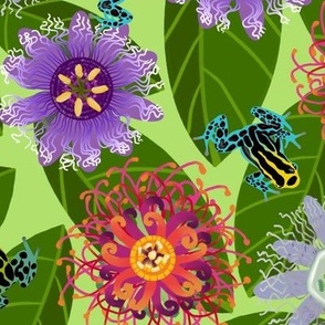 Pretty Poisons: Passionflowers and Frogs on Pistachio