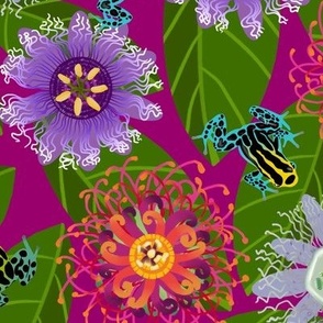 Pretty Poisons: Passionflowers and Frogs on Magenta