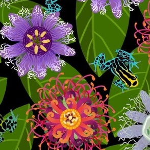 Pretty Poisons: Passionflowers and Frogs on Black