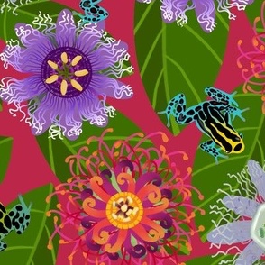 Pretty Poisons: Passionflowers and Frogs, Viva Magenta