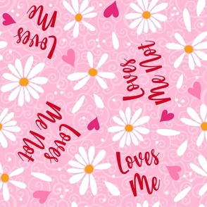 Large Scale Loves Me Loves Me Not White Daisy Flowers and Hearts on Pink