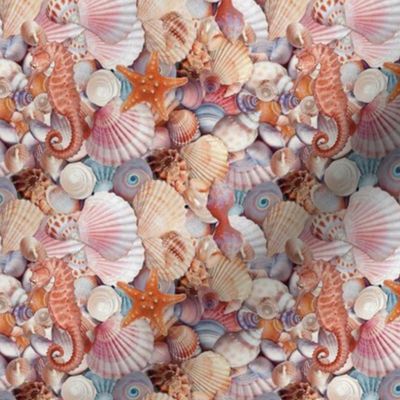 Seashells Sea Shells Seahorse Starfish Conch