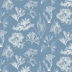 BOTANICAL SILHOUETTES - VERSION 4 SEAWEED - LINEN ON BLUE