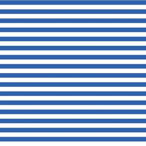 Narrow Horizontal Stripe | Blue + White