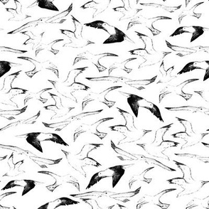 Seagull Swarm - 8inch repeat