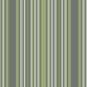 Otherworldly …Coordination B_Gray  Green Stripes