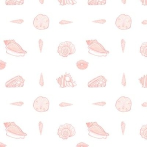 Coral Shells on White - Sm