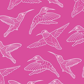 Pink Hummingbirds