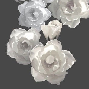 White Roses In Charcoal Space