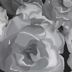 Large White Roses Floor