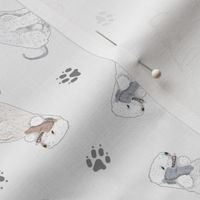 Tiny Bedlington Terriers - gray