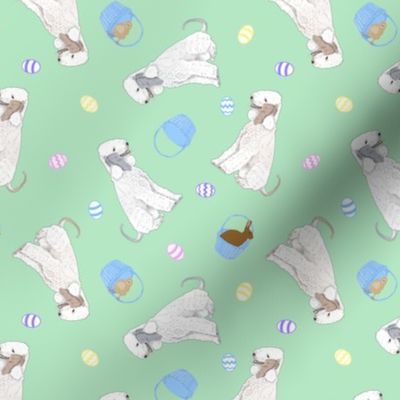 Tiny Bedlington Terriers - Easter