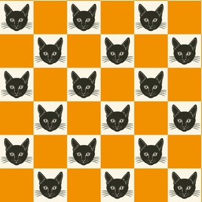 Orange cat checkerboard 