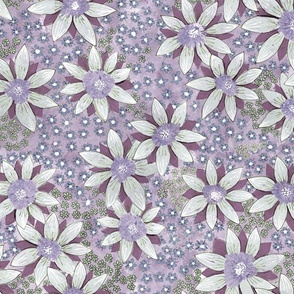 Flowers_Clematis_Light Purple