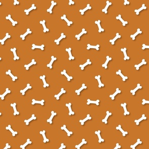 Cute White 3D  Cartoon Dog Bones On Desert Sun Background