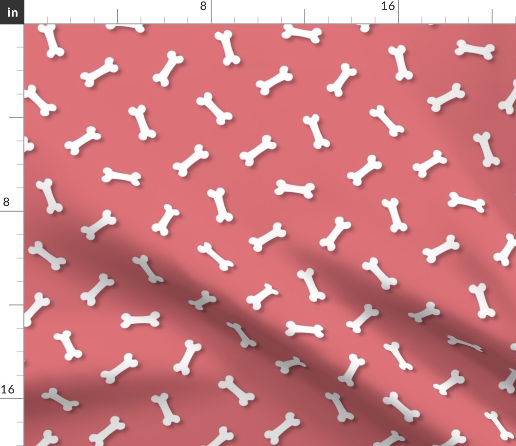 Cute White 3D  Cartoon Dog Bones On Watermelon Background