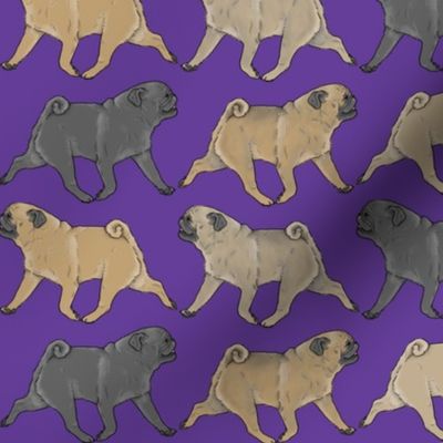 Trotting Pugs border - purple