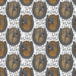 Leonberger horseshoe portraits
