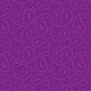 Purple Paisley - SMALL