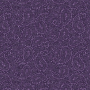 Purple Paisley - SMALL