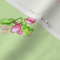 Green Apple Blossom horizontal