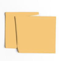 Goldenrod Yellow Solid