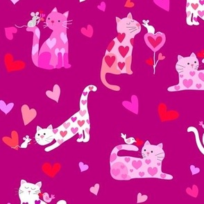 257 Cats in Love
