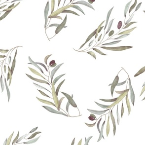 Olive branches big scale 