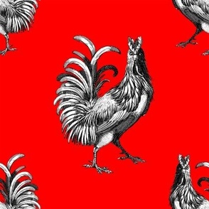Majestic Rooster on Vivid Red Background