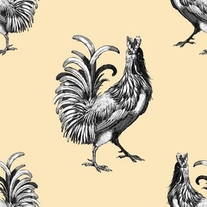 Majestic Rooster on cream - Farmhouse Decor