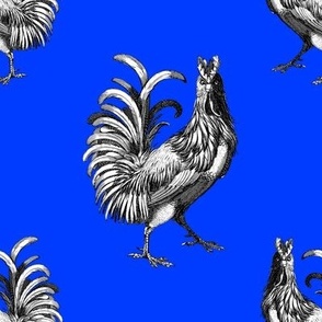 Majestic Proud Rooster on Bright Blue