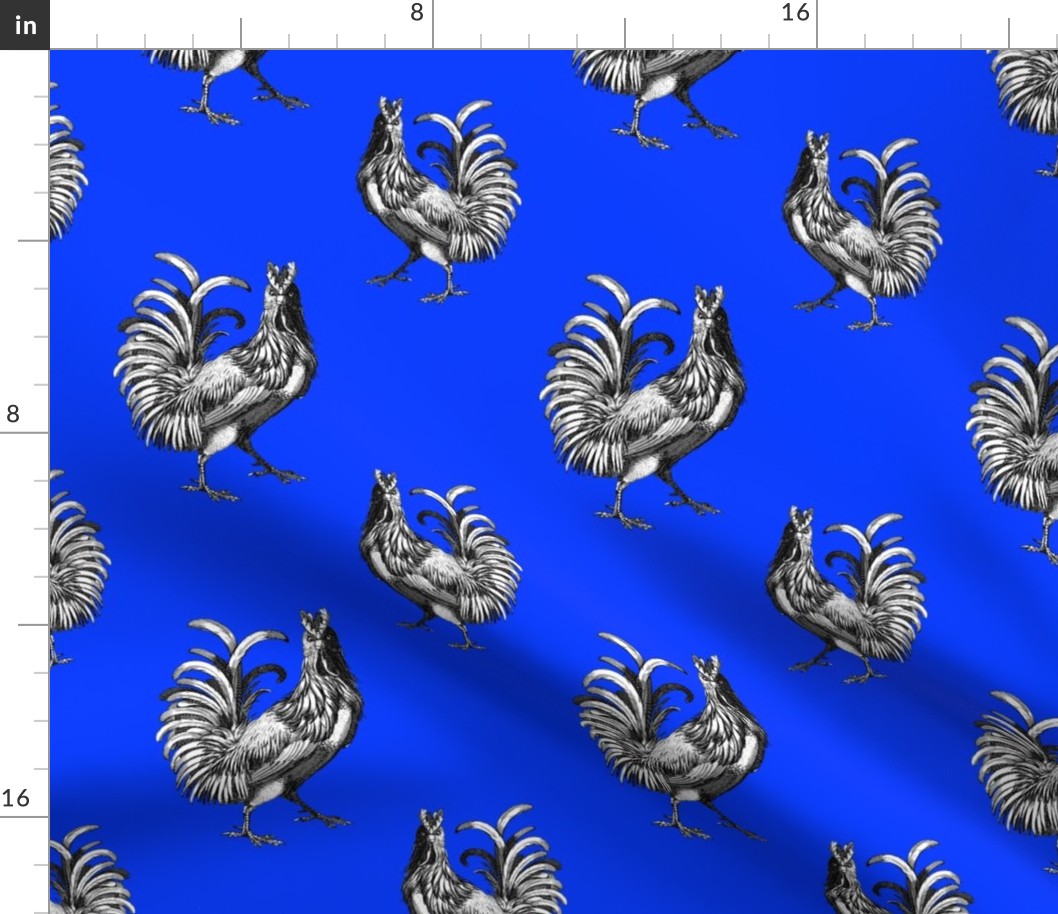 Majestic Proud Rooster on Bright Blue
