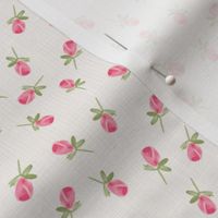 mini gouache rosebuds - cream