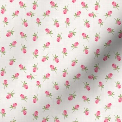 mini gouache rosebuds - cream