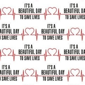 It's a Beautiful Day to Save Lives Grey's Anatomy Greys Meredith Grey Hospital 