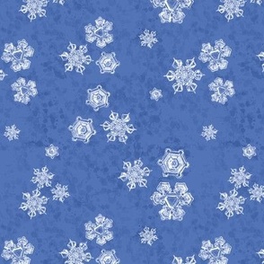 Snowflake Textured Blender (Medium) -  White on Cobalt Blue  (TBS204) 
