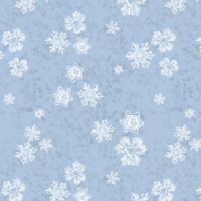 Snowflake Textured Blender (Medium) - White on Sky Blue   (TBS204) 