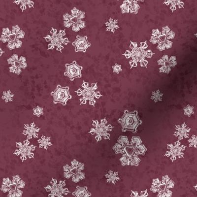Snowflake Textured Blender - White on Wine Red - MEDIUM