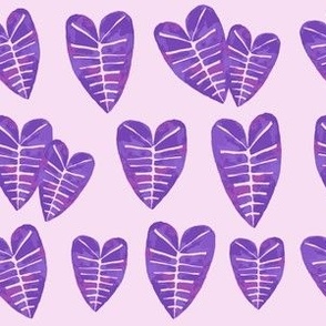 Purple Kalo Leaves
