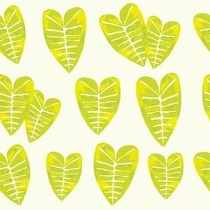 Lime Green Kalo Leaves