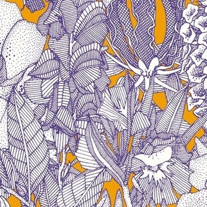 poisonous plants aplenty grape marigold