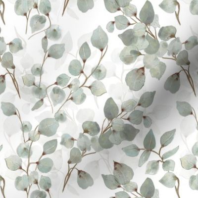 Eucalyptus leaves Small scale 7x7 inch